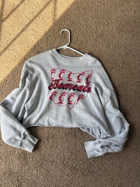 PINK Victoria's Secret Cropped Sweatshirt - Gray with Red Logo